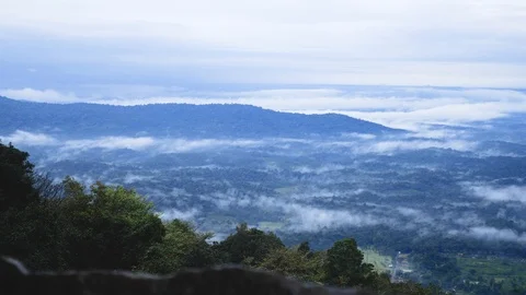 View from the top of a mountain in  a rain forest, India Stock Footage 118435539