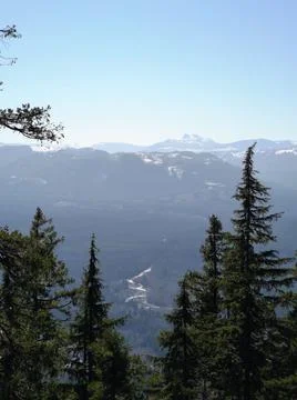 A view from the top of a mountain range, tall trees in the foreground Stock Photos