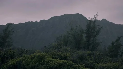 View from top of mountain at sunset Honolulu Hawaii Stock Footage 314073325