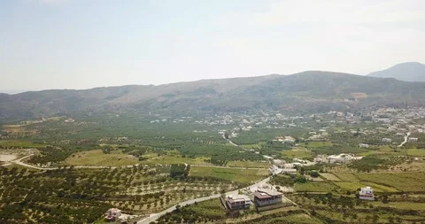 View from the top of the mountains with olive trees Stock Footage 98645013