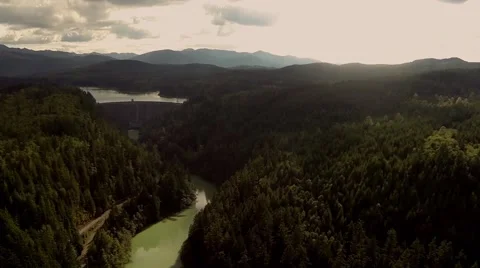 View from the top of a pine forest Video stock 42525873