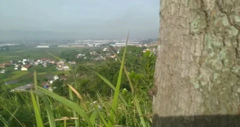 The view from the top of the residential complex Stock Footage 219781964