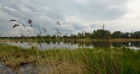 View from the top of the river with a bridge Stock Footage 98649345