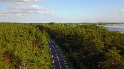 View from the top of the road and the forest Stock Footage 80810686