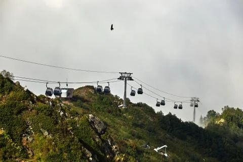 View from top of ropeway with multiple seats and stretched cables above trees in Stock Photos