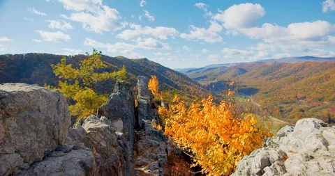 View From Top of Seneca Rocks, West Virginia, Forest Mountain Landscape Stock Footage 127471348