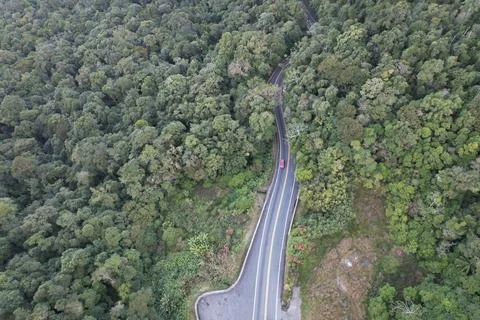 View from the top of the serra do mar, in the section where there is the road Stock Photos