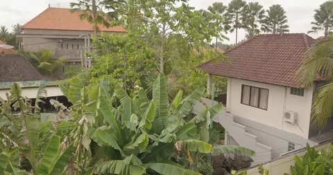 View from the top ubud indonesia Stock Footage 106769692