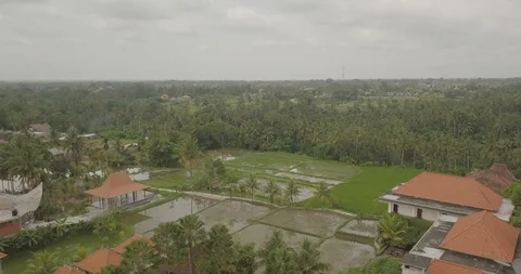 View from the top ubud indonesia Stock Footage 106771291