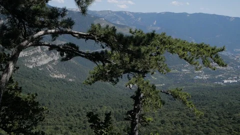 View from the top to the vast expanses Stock Footage 94884347