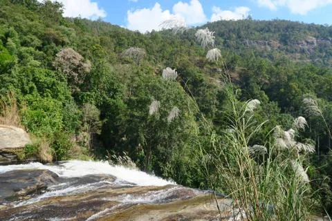 View from the top of the waterfall Stock Photos