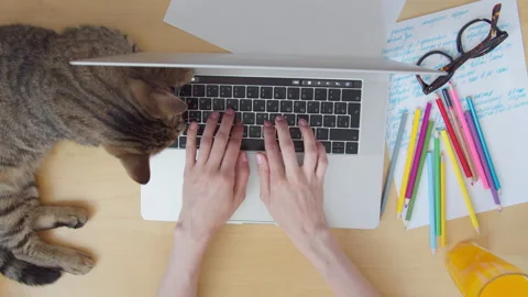 View from top women's hands typing on laptop keyboard on desk littered with Stock Footage 135084853
