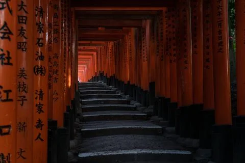 A view of Torii Gates and steps inside the Fushimi Inari Shrine. Stock Photos