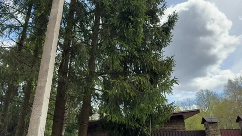 A view of torn electrical wires after a hurricane in the countryside Stock Footage 308318262