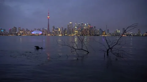 View of the Toronto skyline at night Stock Footage 143155754