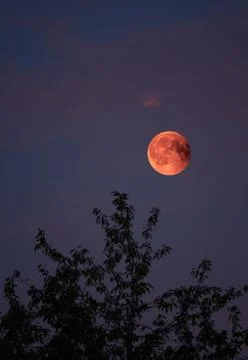 View of Total Lunar Eclipse bloodmoon on July 28 2018 in Germany Fotos Stock