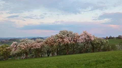 View from touristic road moststrasse in the austrian district mostviertel Stock Footage 128353921