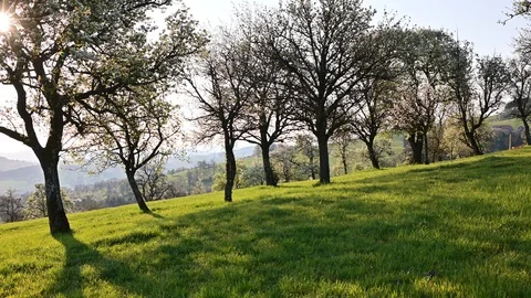 View from touristic road moststrasse in the austrian district mostviertel Stock Footage 128354416