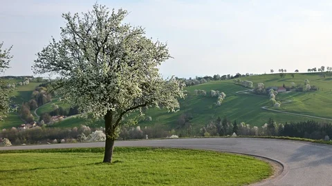 View from touristic road moststrasse in the austrian district mostviertel 库存影片 128354924