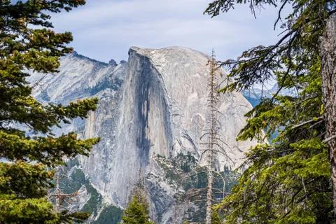 View towards Half Dome framed by evergreen trees; Yosemite National Park, Sie Stock Photos