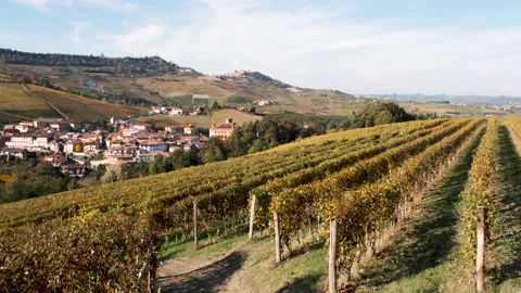 View towards La Morra and Barolo from the vineyard on a hill. 库存影片 142688947