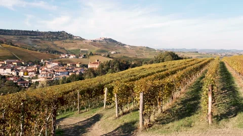 View towards La Morra and Barolo from the vineyard on a hill. 库存影片 142707359