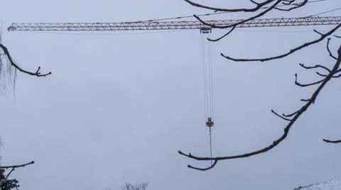 A view of a tower crane jib through the bare branches of a tree on the dusk g Foto stock