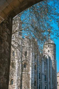 View of Tower of London Through Trees Stock Photos