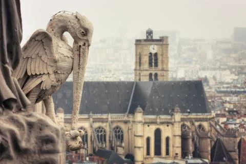 View from Tower of Notre-Dame de Paris Stock Photos