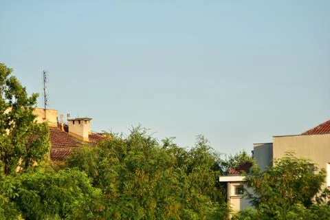 View of the town behind trees 库存照片