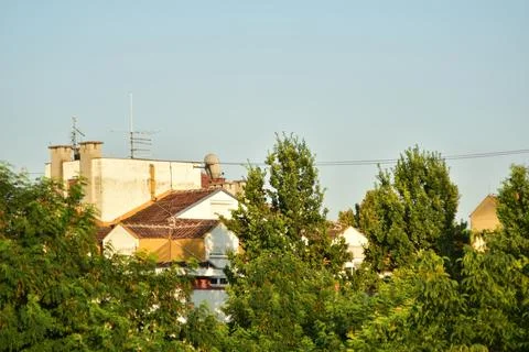 View of the town behind trees 库存照片