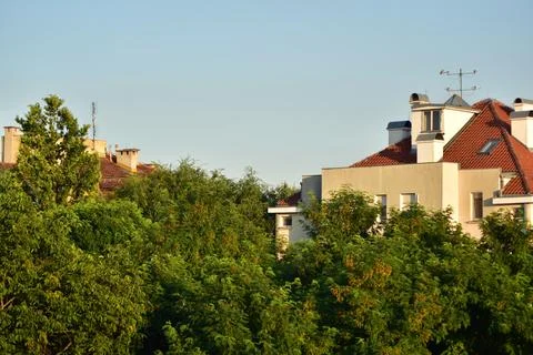 View of the town behind trees 库存照片