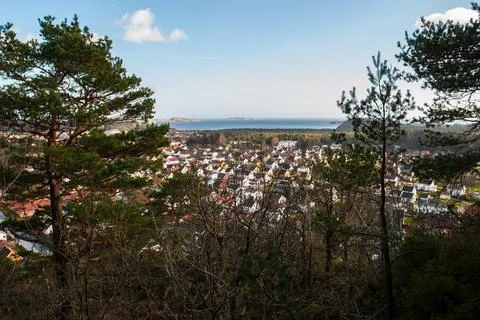 View of town through pine forest trees. Stock Photos