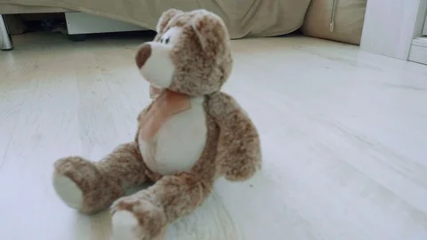 View of toy fluffy bear on floor. Camera moves around it. Stock Footage 98229505