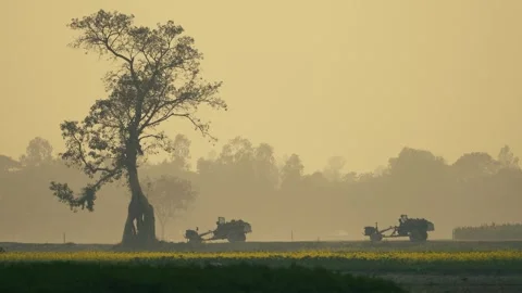 View of tractors driving past a large tree in rural Bogura, Bangladesh. Video stock 335599506