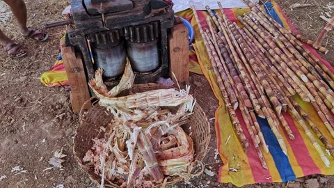View of traditional bull driven sugarcane juicing machine at krishi mela sh.. Stock Footage 335279916