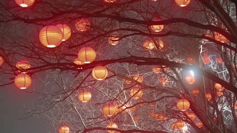 View of Traditional Chinese lanterns Stock Footage 172466249