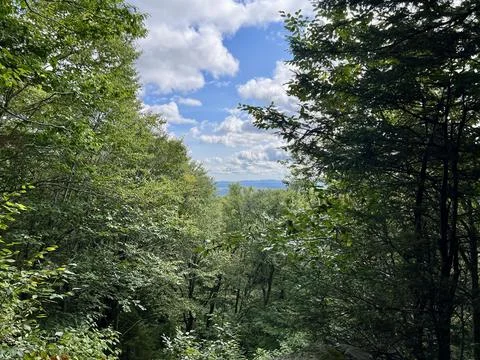 A View from the Trail Stock Photos