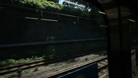 View from the train. Between the woods. A orange local train pass by. Stock Footage 220096062