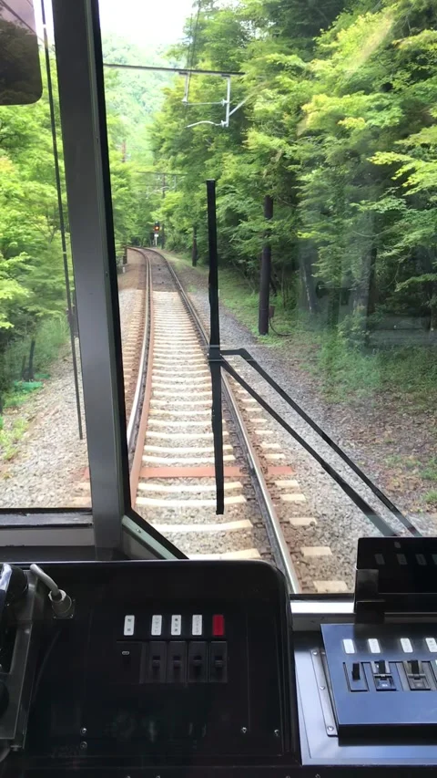 View from train cabin traveling through lush green forest scenery Video stock 335498654
