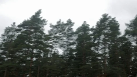 View from the train  Видео 118751087