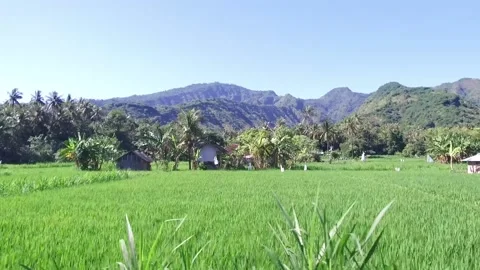 View from the Train Journey in Indonesia Stock Footage 131153520