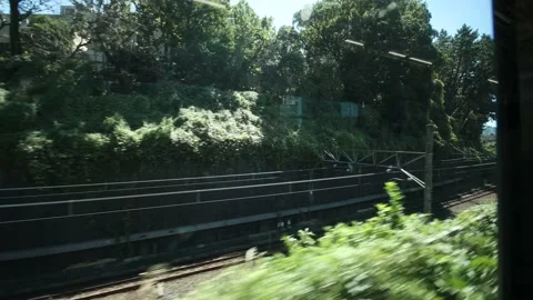 View from the train in Tokyo Japan. Between the woods. Stock Footage 220096046