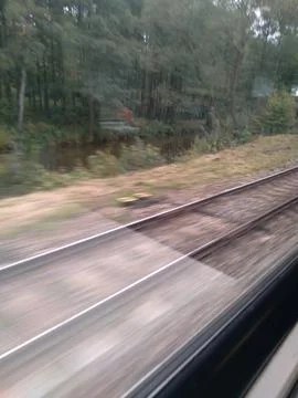 View of train tracks surrounded by dense green trees Stock Photos