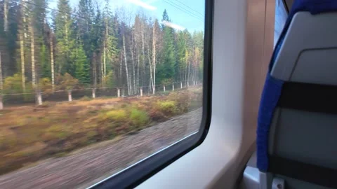 View from the train window. Autumn forest. Stock Footage 321368654