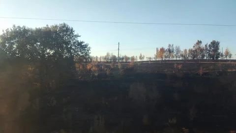 View from the train window. Black burnt grass on the field after a fire. Copy Stock-Footage 300868026
