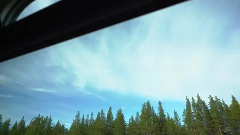 View from train window to border of pine tops with blue sky and white air clouds Stock Footage 164558323