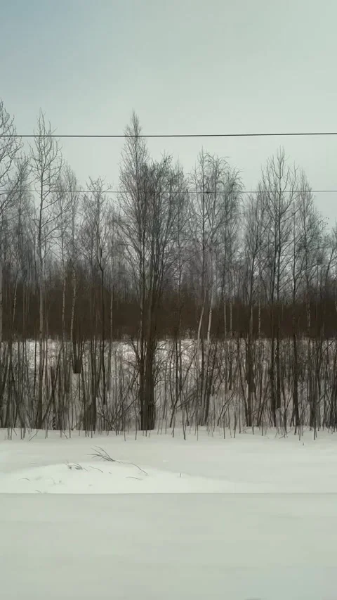 The view from a train window capturing a snowy area at north of Russia Stock Footage 314850968