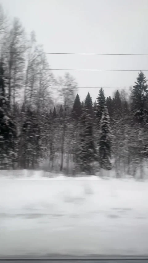 The view from a train window capturing a snowy area at north of Russia Stock-Footage 314850974