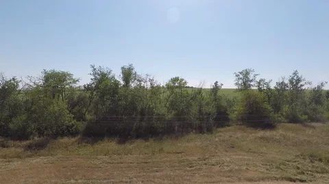 View from the train window to the fields of trees and sky Stock Footage 127424485